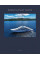 World's Finest Yachts