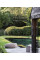 World's Best - 50 Gardens from Around the Globe