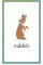 English for Everyone Junior First Words Animals Flash Cards