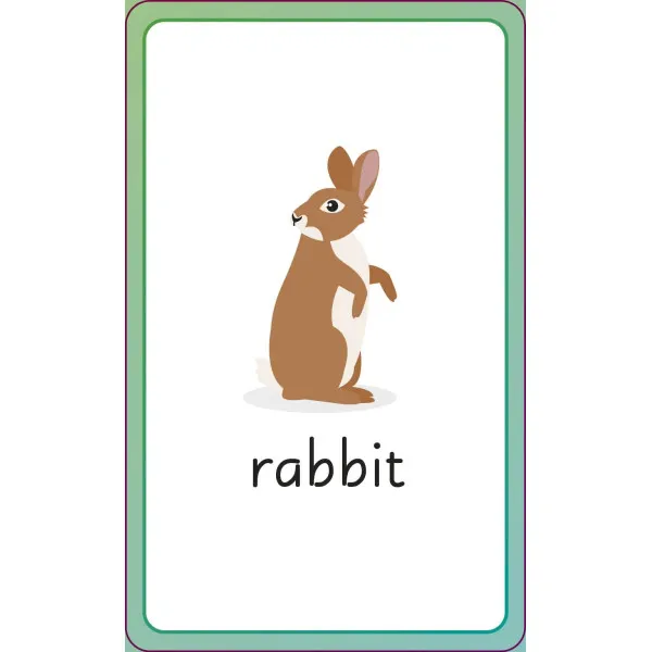 English for Everyone Junior First Words Animals Flash Cards