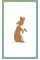 English for Everyone Junior First Words Animals Flash Cards