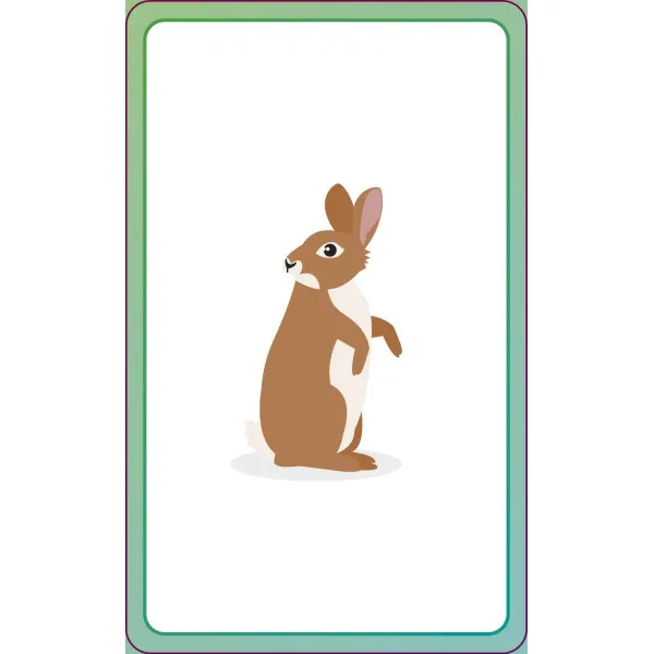 English for Everyone Junior First Words Animals Flash Cards