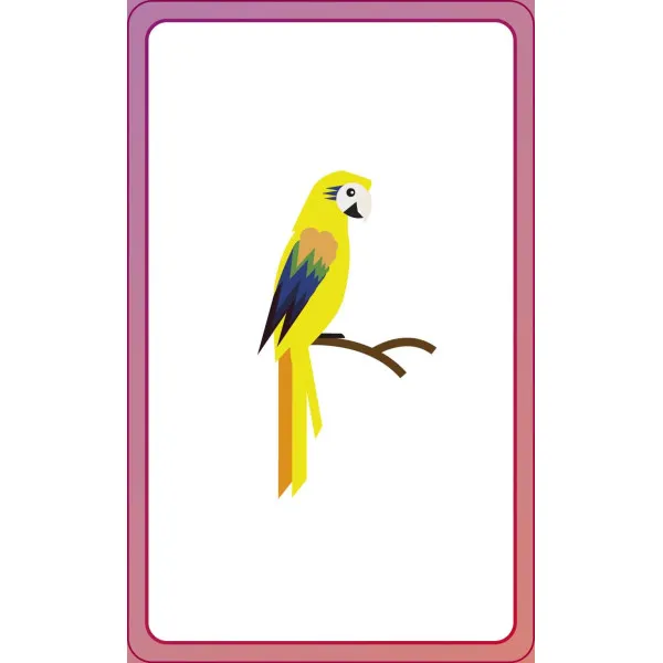 English for Everyone Junior First Words Animals Flash Cards