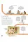 Timelines of Everyone