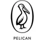 Pelican