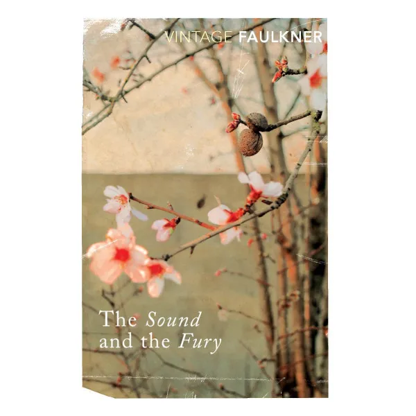 The Sound and the Fury. William Faulkner