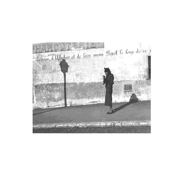 Flaneuse. Lauren Elkin