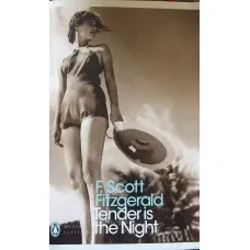 Tender is the Night. F. Scott Fitzgerald