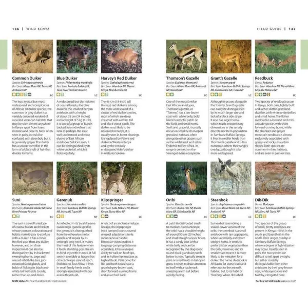 Travel Guide Kenya