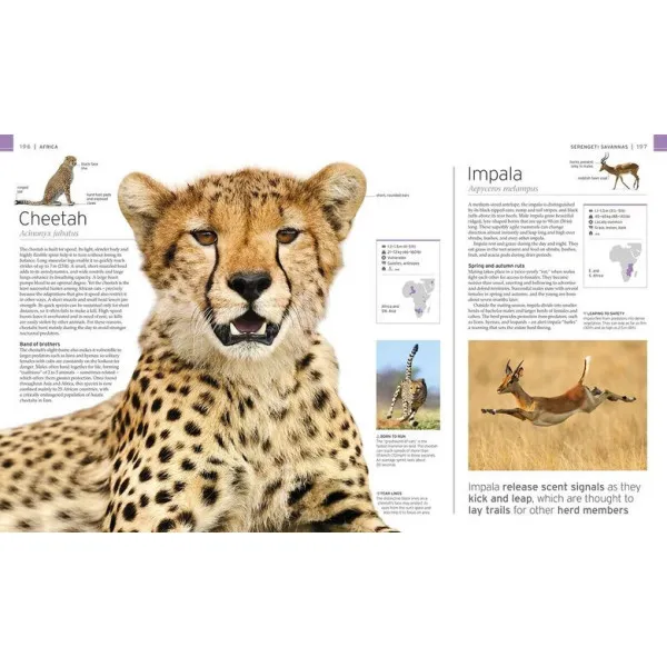 Wildlife of the World 