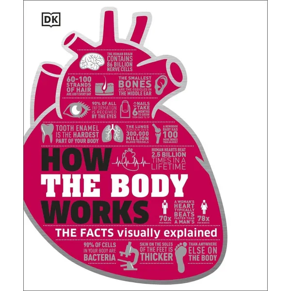 How The Body Works