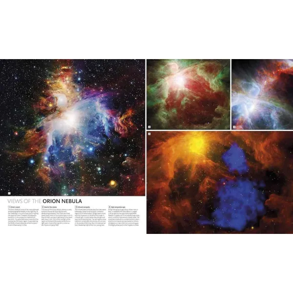 The Stars