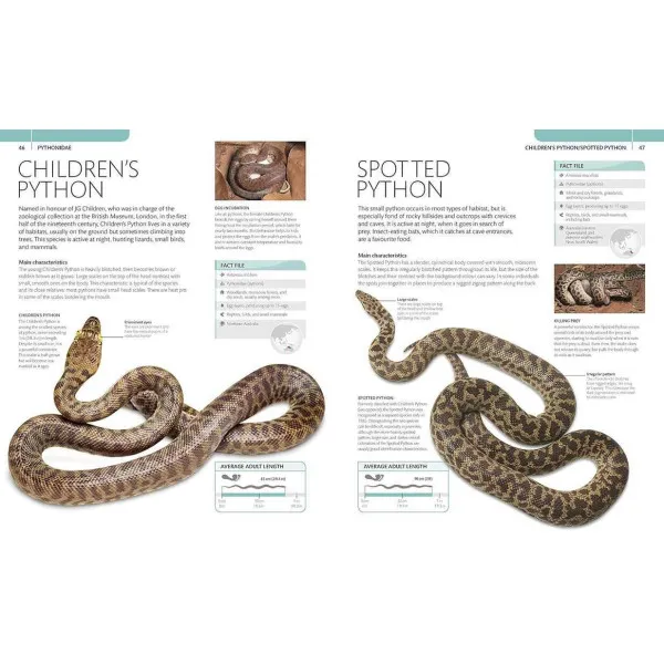 Snake