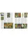 RHS A-Z Encyclopedia of Garden Plants