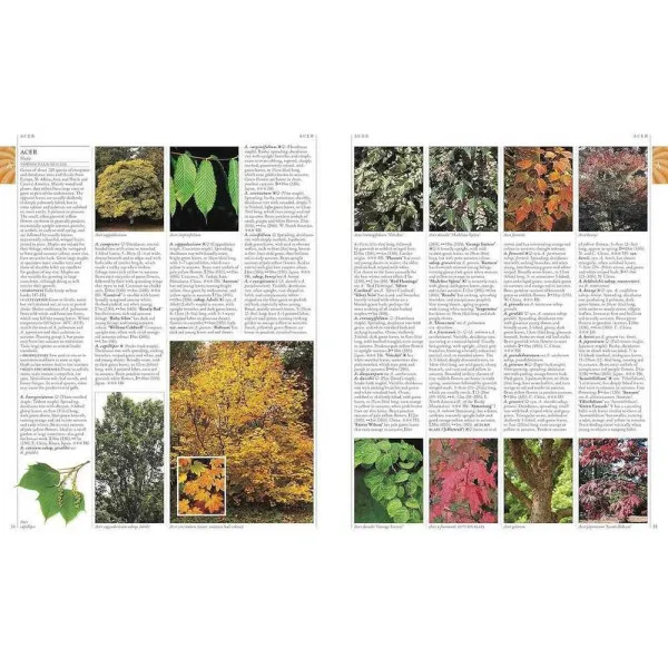 RHS A-Z Encyclopedia of Garden Plants