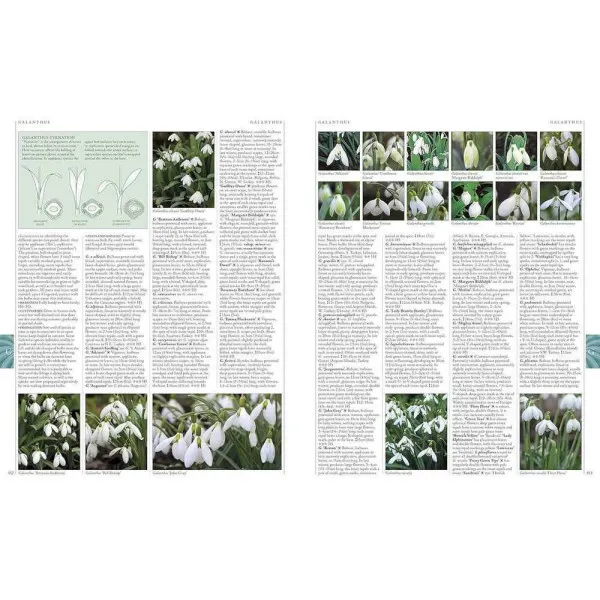 RHS A-Z Encyclopedia of Garden Plants