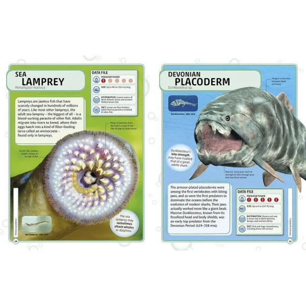 Sharks and Other Deadly Ocean Creatures. Visual Encyclopedia