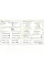 English for Everyone English Grammar Guide : A comprehensive visual reference