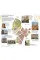 Travel Guide Estonia, Latvia and Lithuania