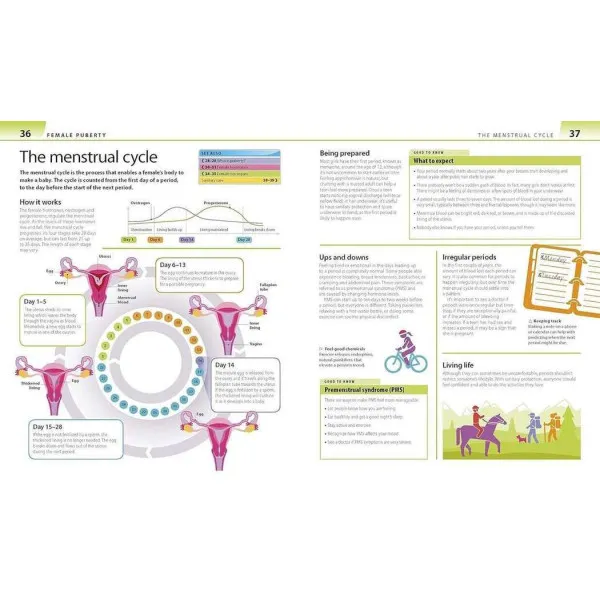 Help Your Kids with Growing Up. A No-Nonsense Guide to Puberty and Adolescence