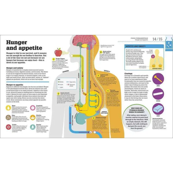 How Food Works
