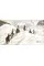 Mountaineers : Great tales of bravery and conquest