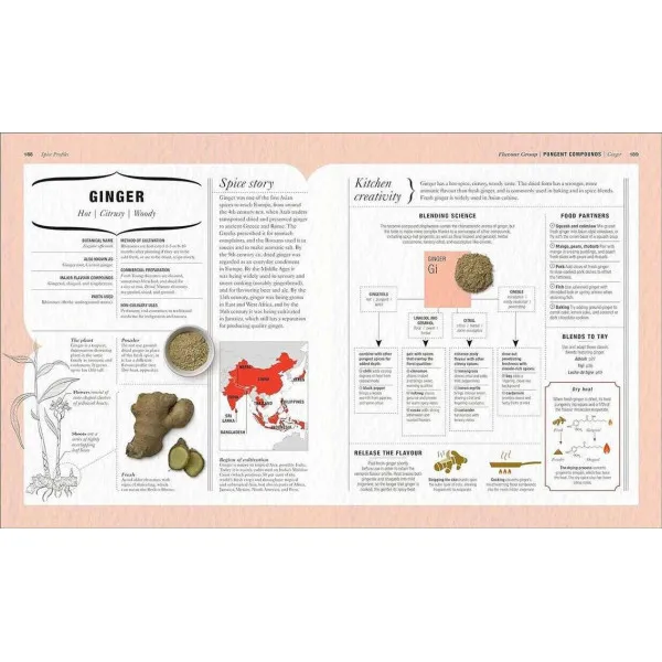 The Science of Spice