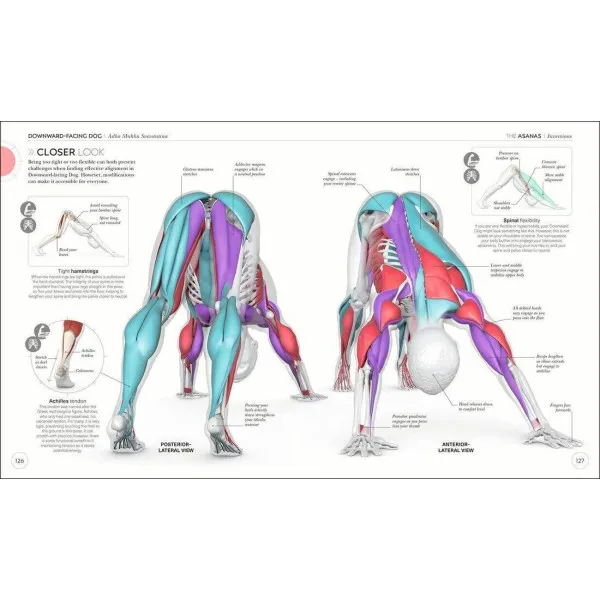 Science of Yoga. Understand the Anatomy and Physiology to Perfect your Practice