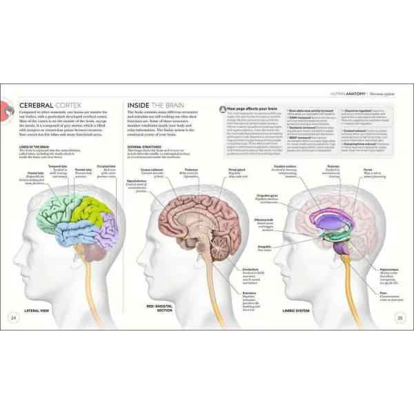 Science of Yoga. Understand the Anatomy and Physiology to Perfect your Practice