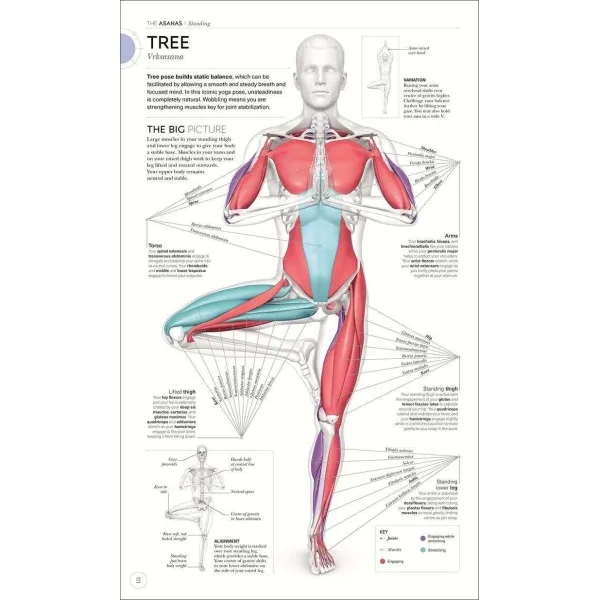 Science of Yoga. Understand the Anatomy and Physiology to Perfect your Practice