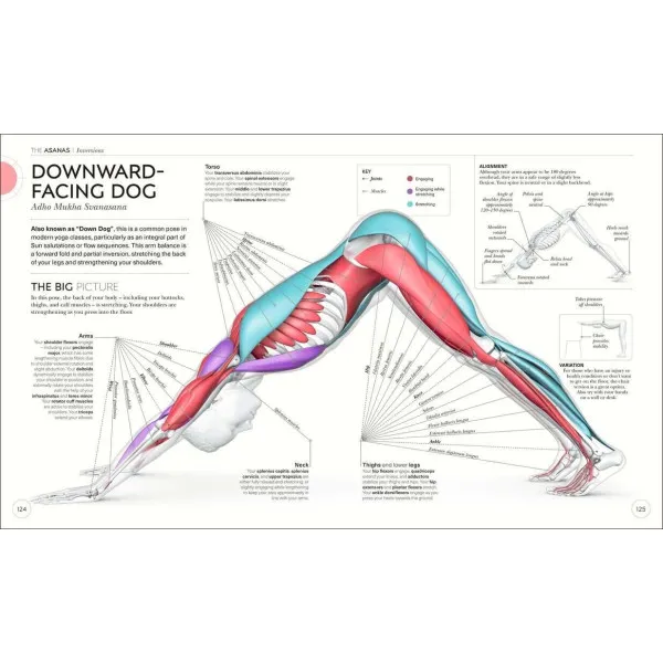 Science of Yoga. Understand the Anatomy and Physiology to Perfect your Practice
