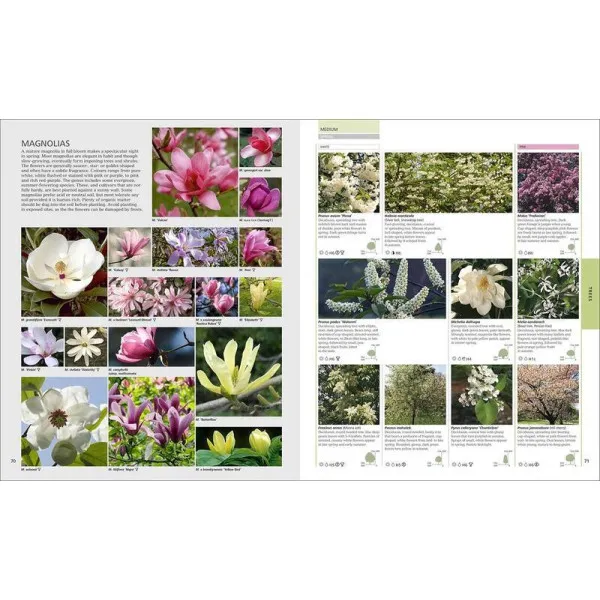 RHS Encyclopedia Of Plants and Flowers