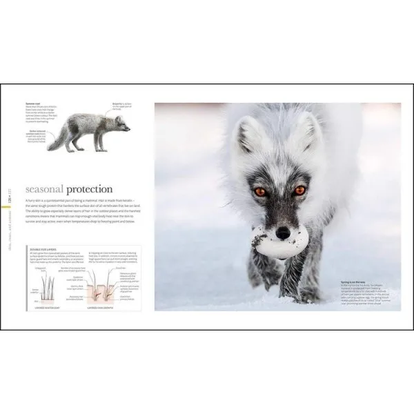 The Science of Animals