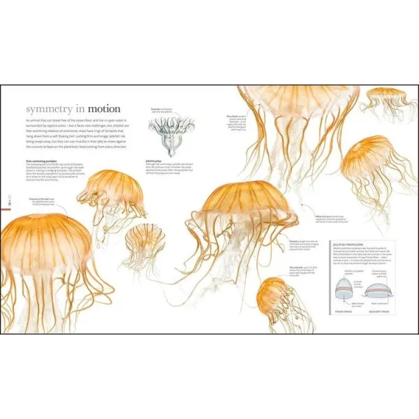 The Science of Animals