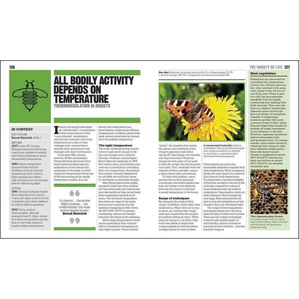The Ecology Book. Big Ideas Simply Explained