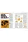 The Ecology Book. Big Ideas Simply Explained