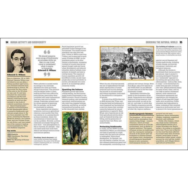 The Ecology Book. Big Ideas Simply Explained
