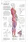 Science of Strength Training