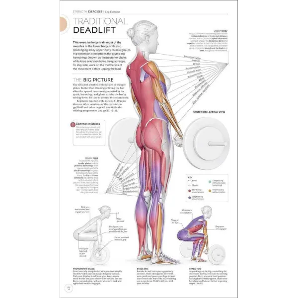 Science of Strength Training