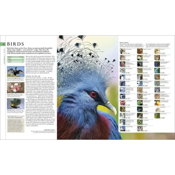 The Natural History Book
