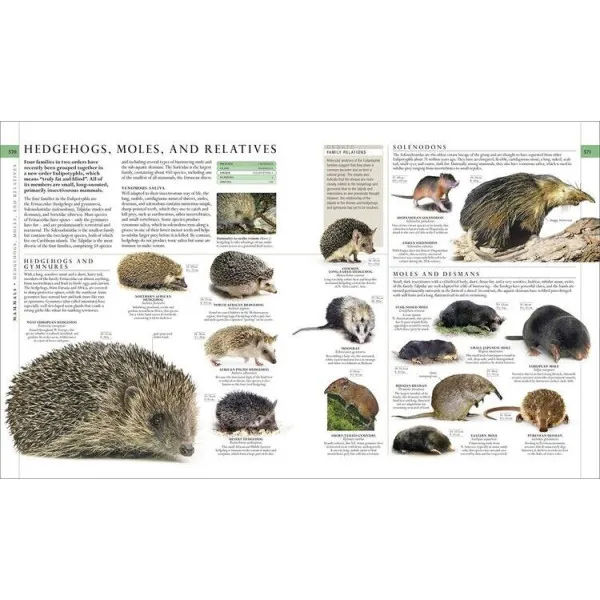 The Natural History Book