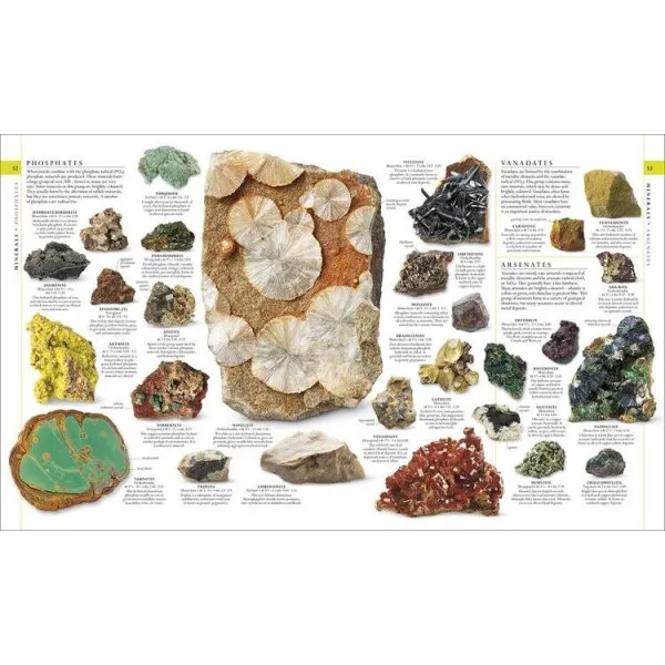 The Natural History Book