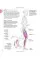 Science of Running