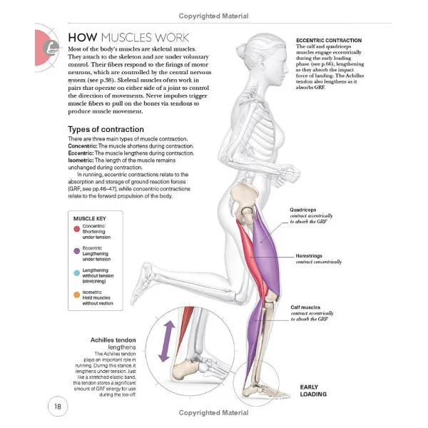 Science of Running