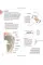 Science of Running