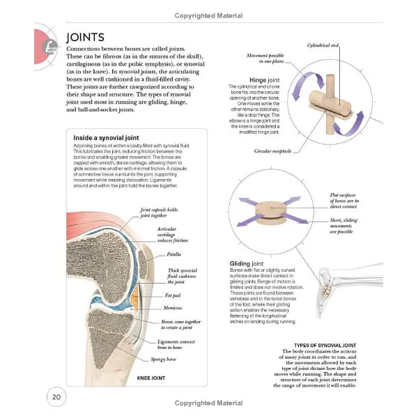Science of Running
