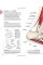 Science of Running
