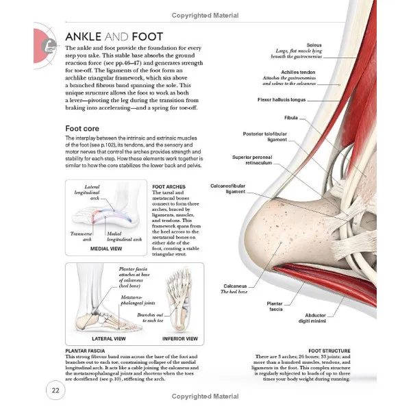Science of Running