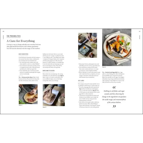 The Artisan Kitchen : The science, practice and possibilities