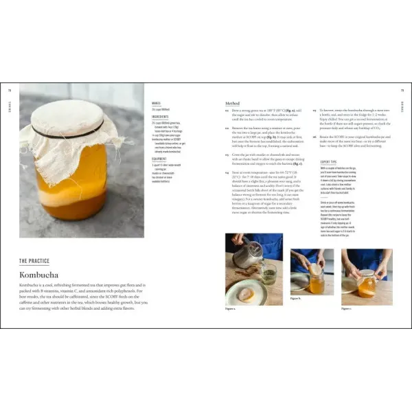 The Artisan Kitchen : The science, practice and possibilities